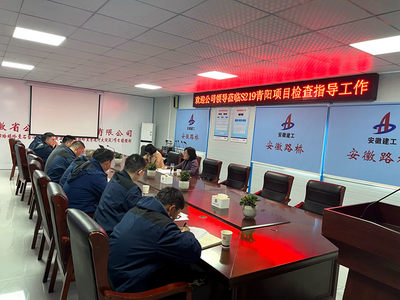 公司黨委委員、紀(jì)委書記王鵬到S219青陽改建項(xiàng)目調(diào)研指導(dǎo)工作